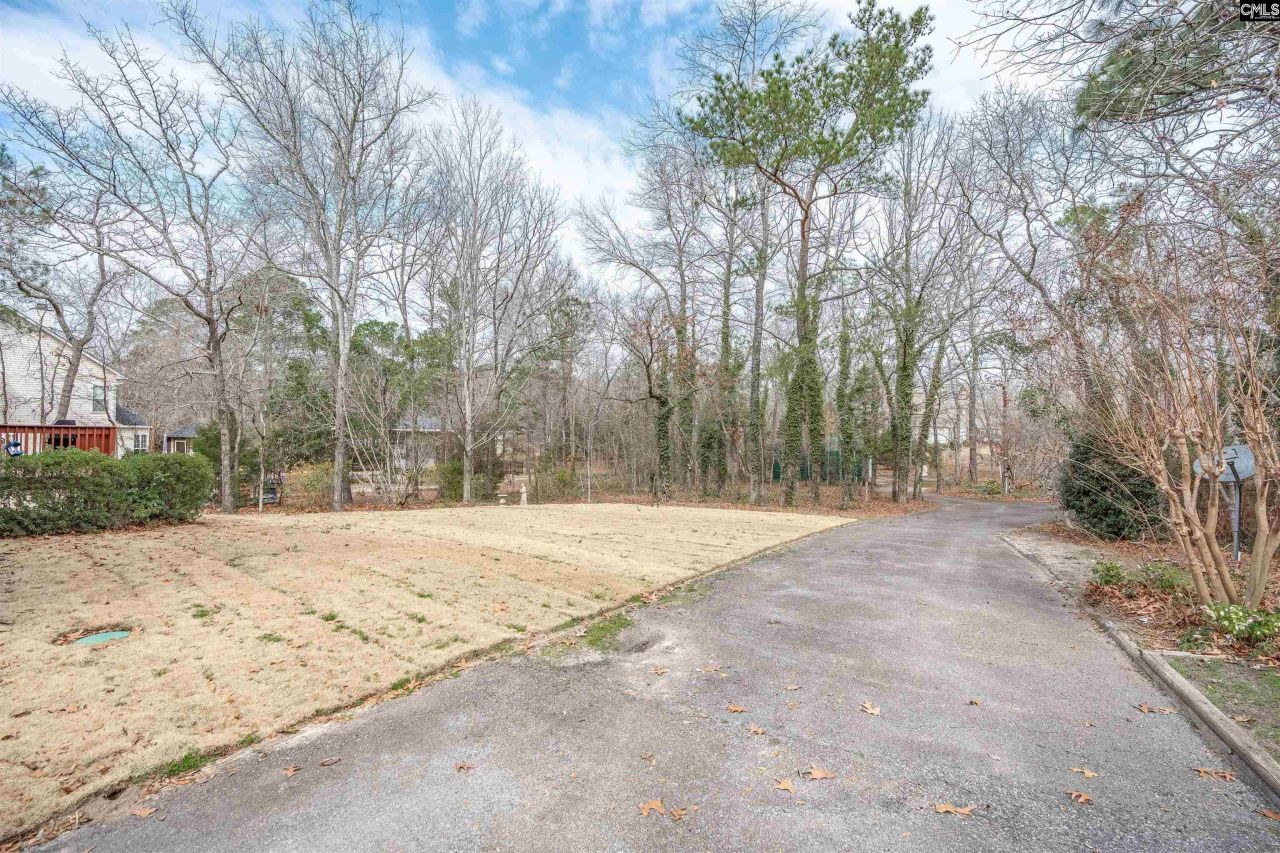 18 Blackhawk Court  Photo 44