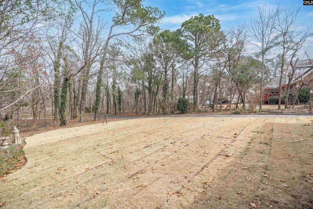 18 Blackhawk Court  Photo 47