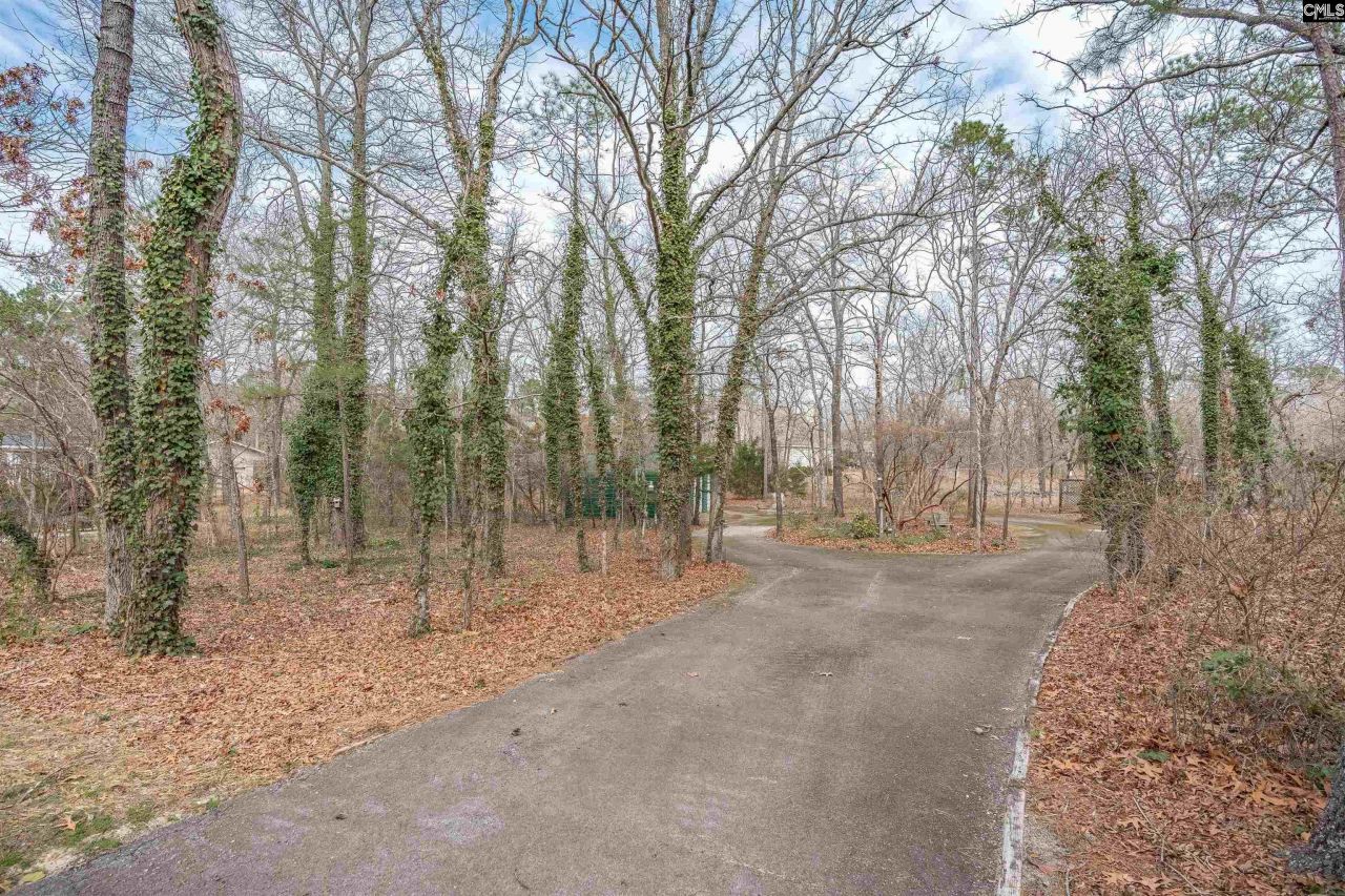 18 Blackhawk Court  Photo 48