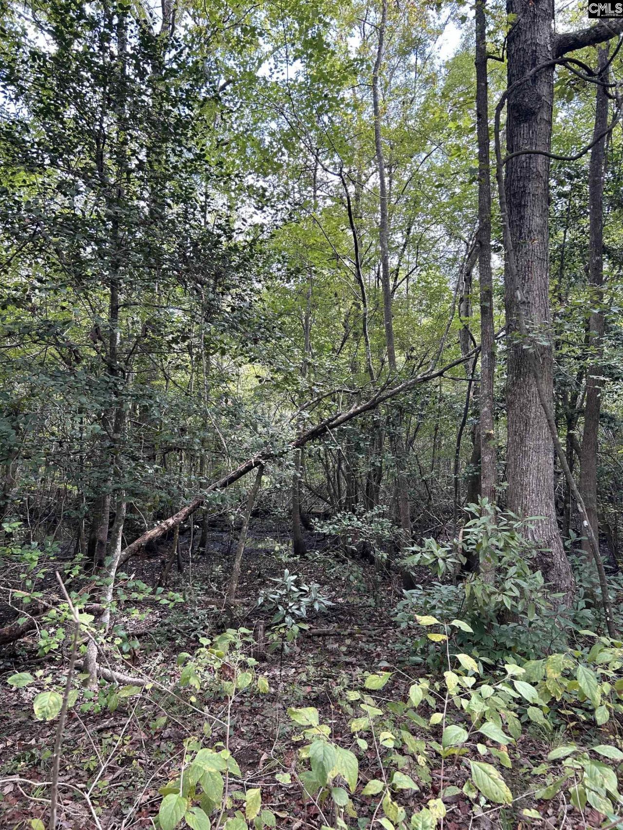 8200 Salem Road  Photo 10