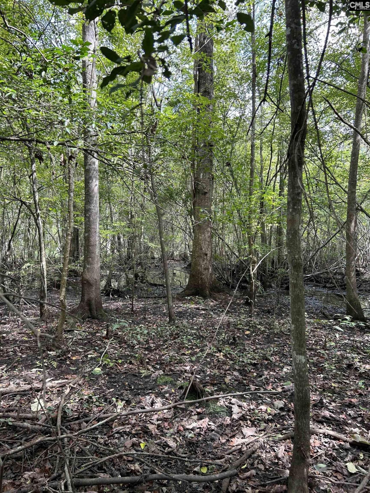 8200 Salem Road  Photo 11