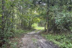 8200 Salem Road  photo 4