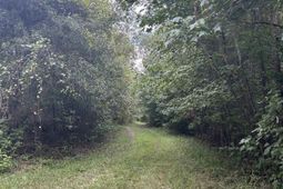 8200 Salem Road  photo 4