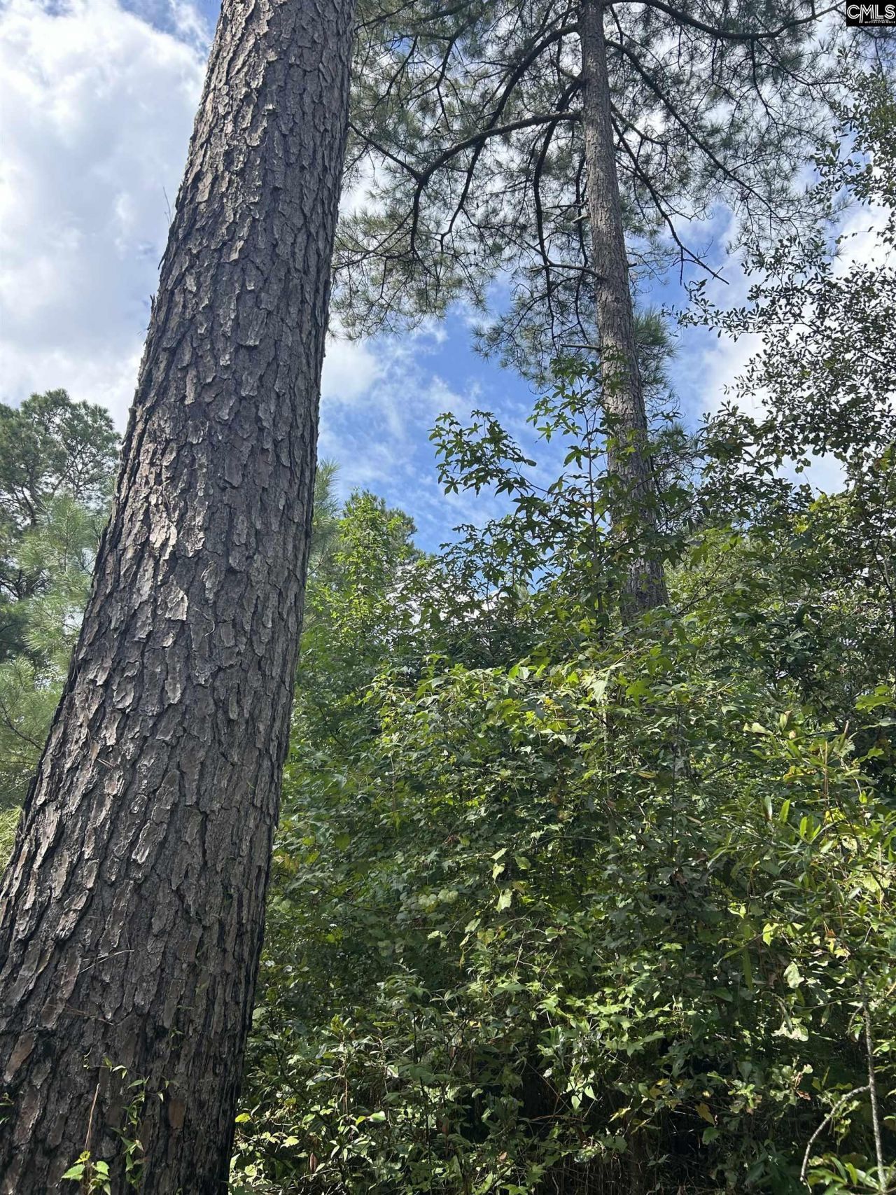 8200 Salem Road  Photo 5