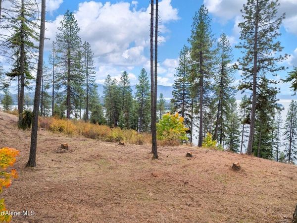 NNA Green Monarch Lane, Hope, ID 83836
