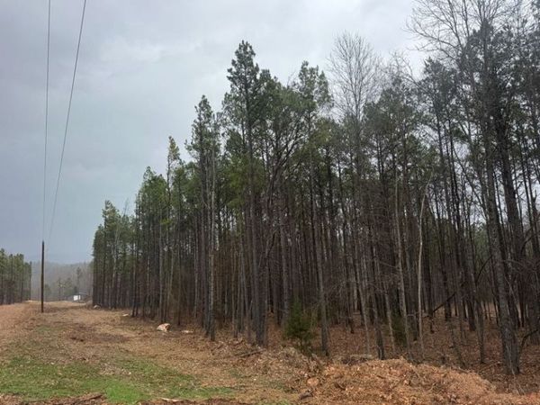 TBD NC 3050, Jasper, AR 72641