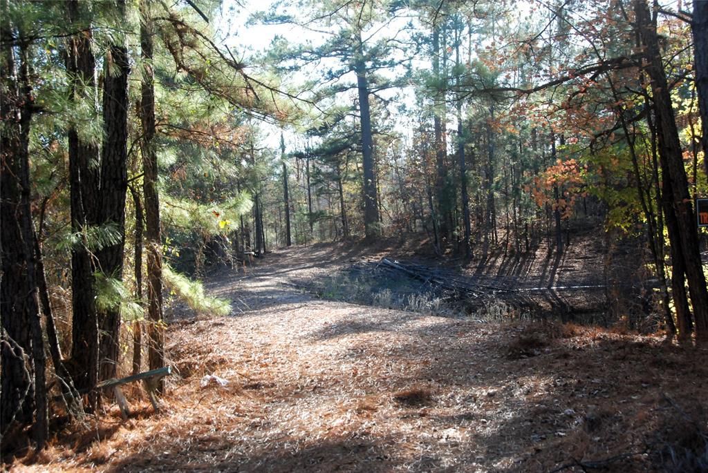 Tbd Fm 14, Hawkins, TX 75765 Main Photo