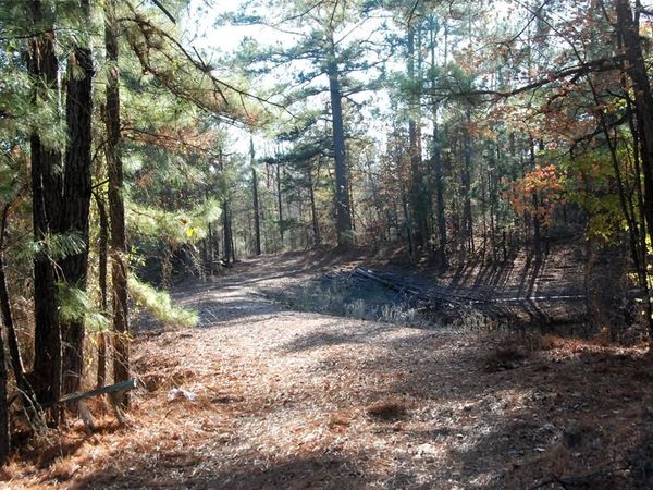 TBD Fm 14, Hawkins, TX 75765