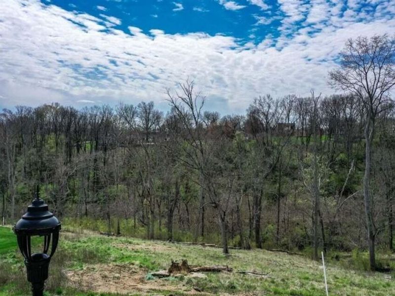 41 Floral Avenue, Fort Mitchell, KY 41017 Photo 13