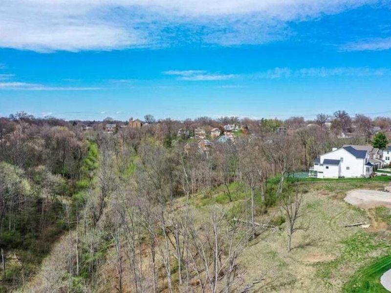 41 Floral Avenue, Fort Mitchell, KY 41017 Photo 15