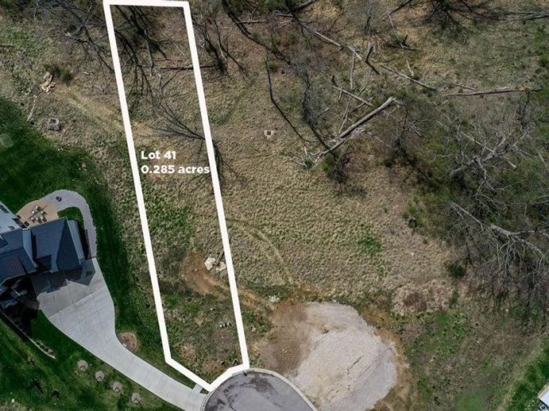 41 Floral Avenue, Fort Mitchell, KY 41017 Photo 4