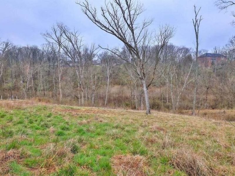 41 Floral Avenue, Fort Mitchell, KY 41017 Photo 7