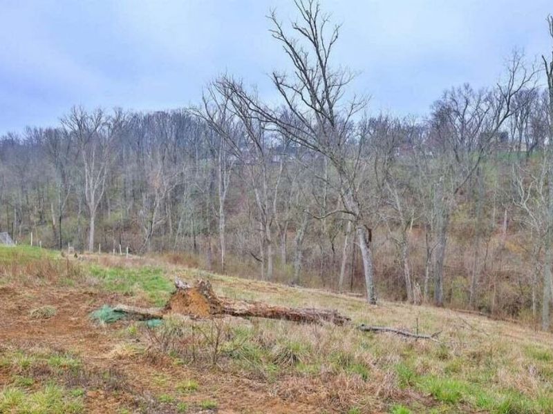 41 Floral Avenue, Fort Mitchell, KY 41017 Photo 8