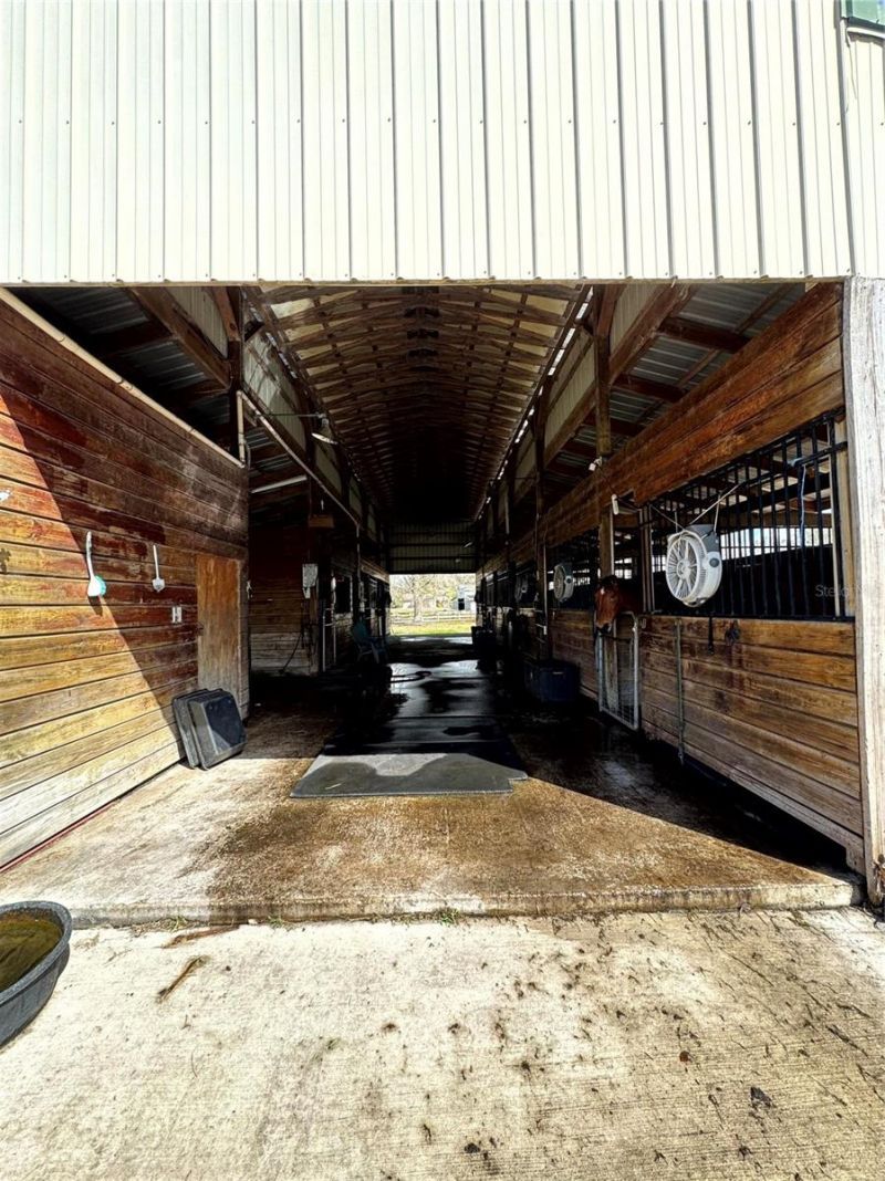 31243 Bear Pond Drive, Sorrento, FL 32776 Photo