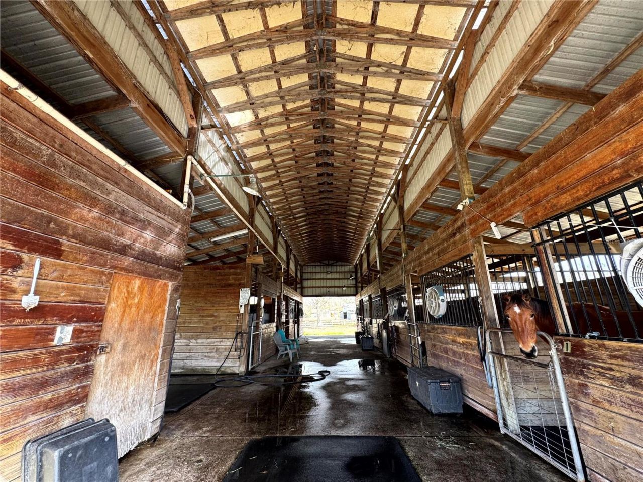 31243 Bear Pond Drive, Sorrento, FL 32776 Photo