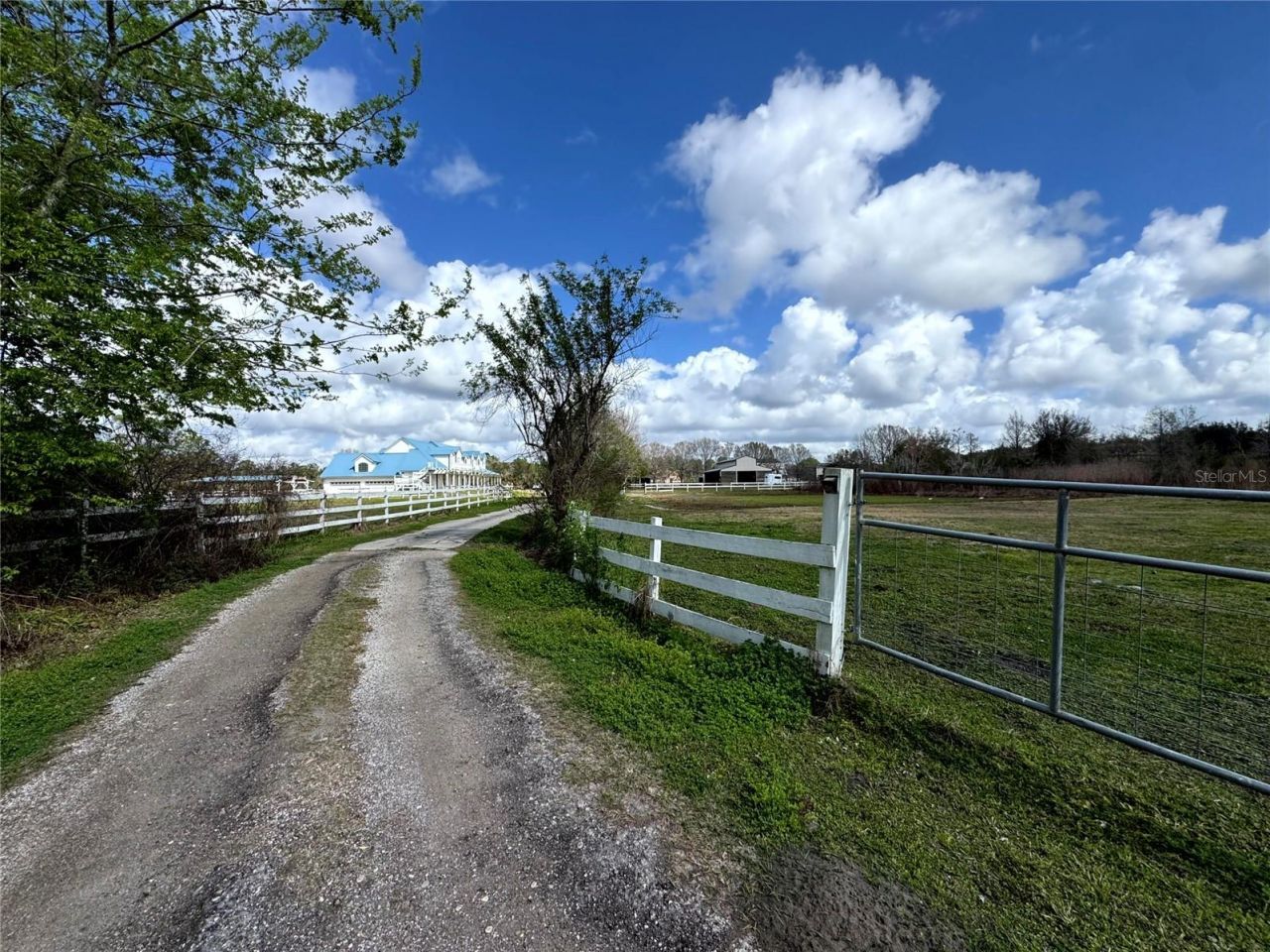 31243 Bear Pond Drive, Sorrento, FL 32776 Photo