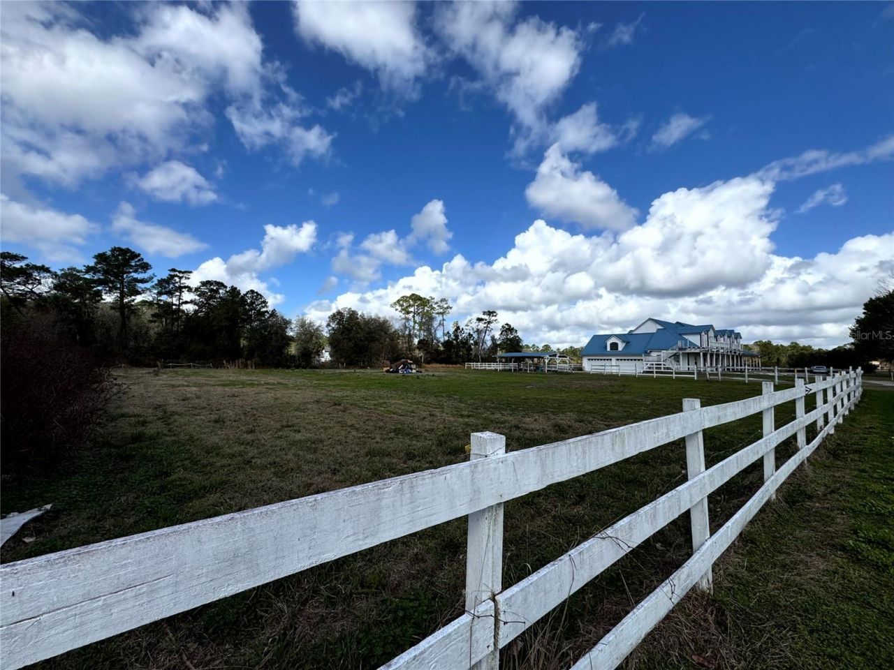 31243 Bear Pond Drive, Sorrento, FL 32776 Photo