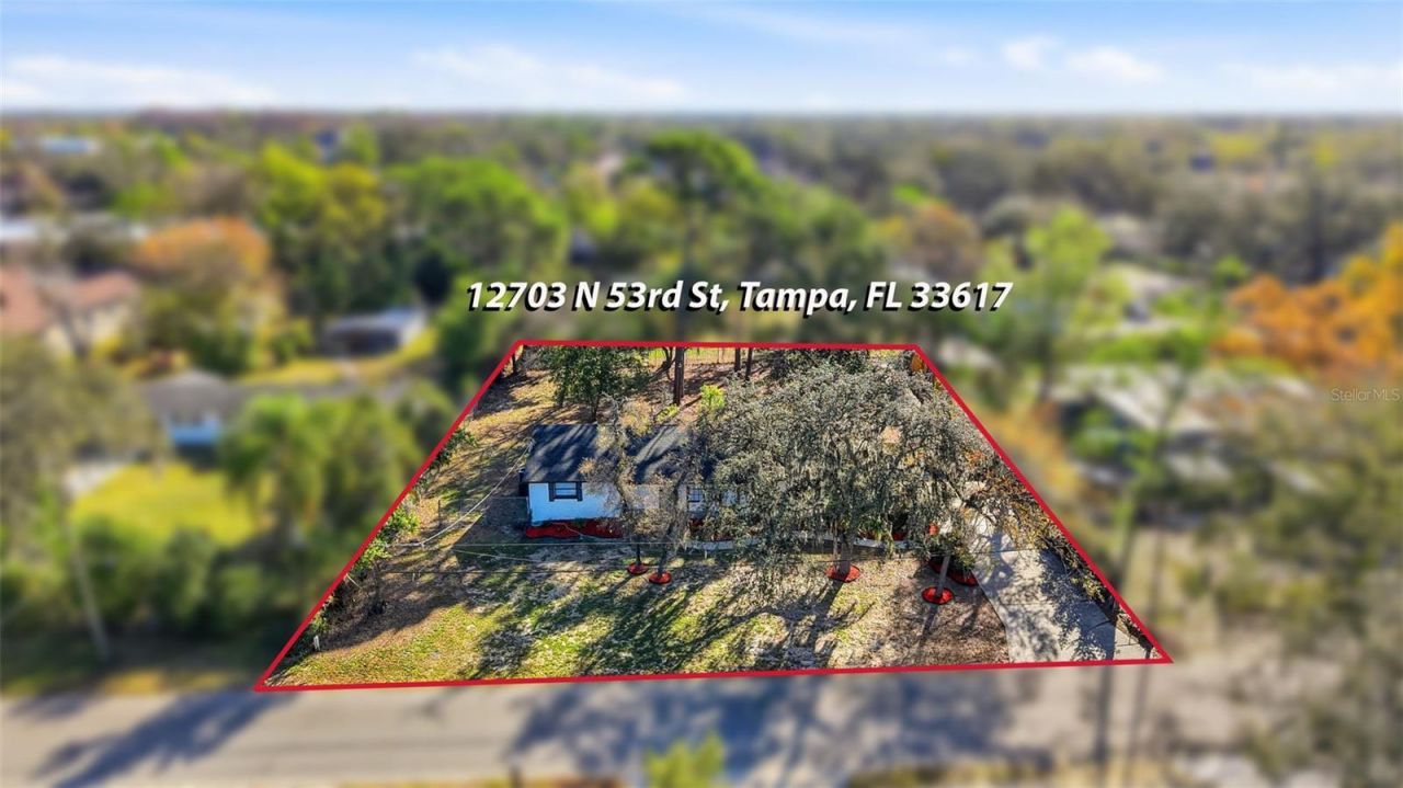 12703 N 53rd Street, Temple Terrace, FL 33617 Photo