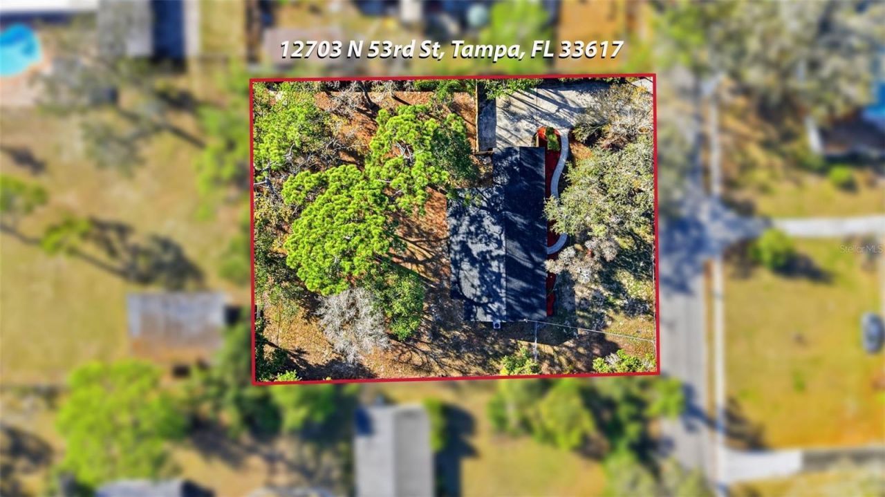 12703 N 53rd Street, Temple Terrace, FL 33617 Photo