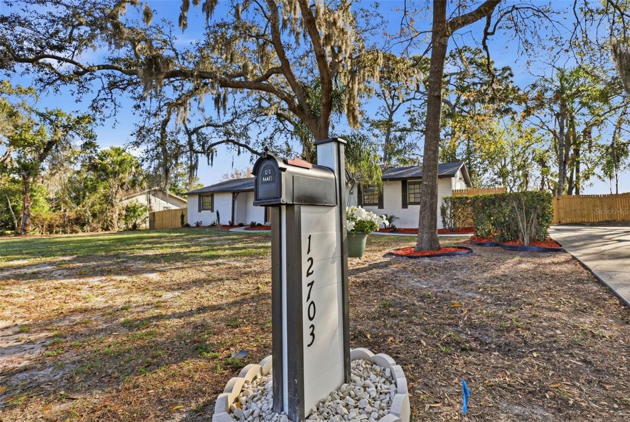 12703 N 53rd Street, Temple Terrace, FL 33617 Photo