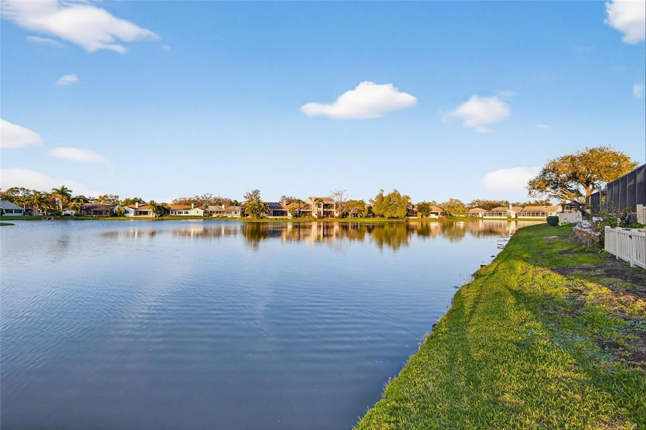 907 San Carlos Avenue Ne, Saint Petersburg, FL 33702 Photo