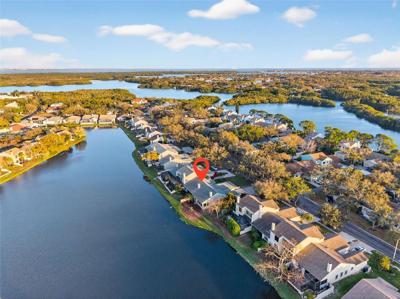 907 San Carlos Avenue Ne, Saint Petersburg, FL 33702 Photo