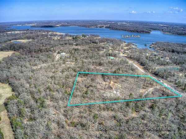 411 County Road 1784, Yantis, TX 75497