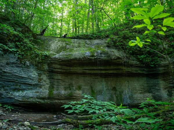 310/Ac Tbd Ben Bloomer Road, Sneedville, TN 37869