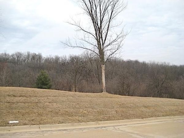 Lot 16 Ohmer Ridge Subdivision , McGregor, IA 52157