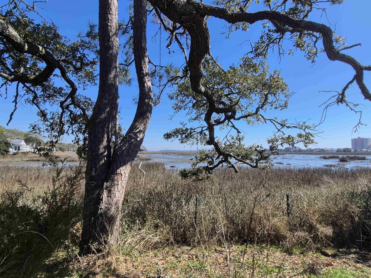 708 Creek Front Rd. Photo 5