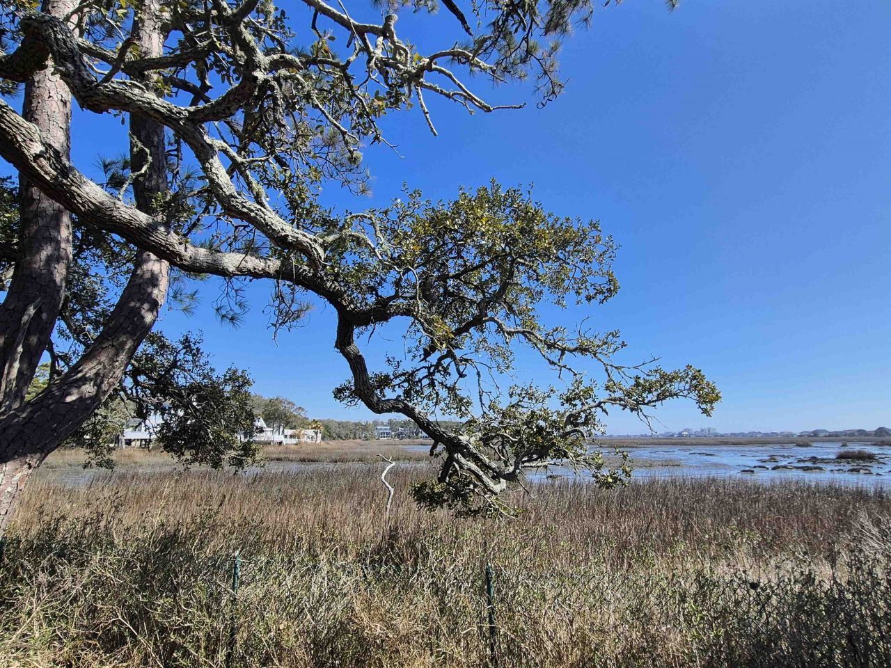 708 Creek Front Rd. Photo 6