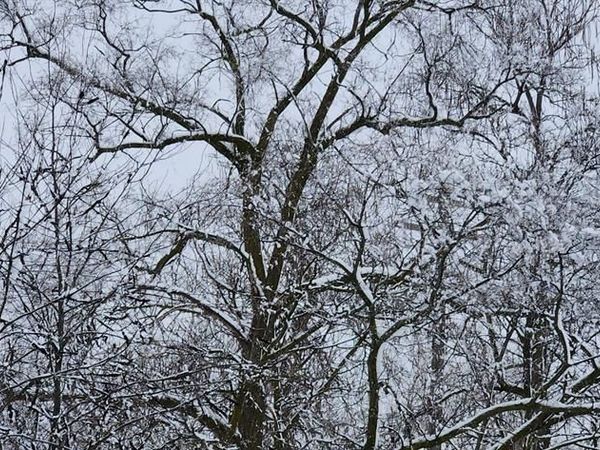 3978 16TH Street , Detroit, MI 48208