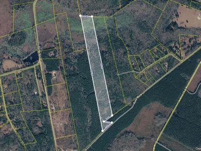 0 Rutin Buck Lane, Cottageville, SC 29435