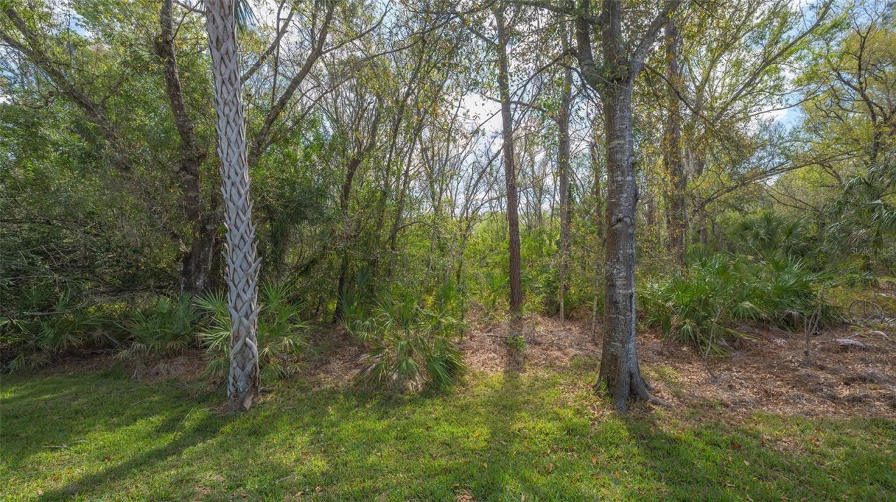 8215 Waterview Boulevard, Lakewood Ranch, FL 34202 Photo