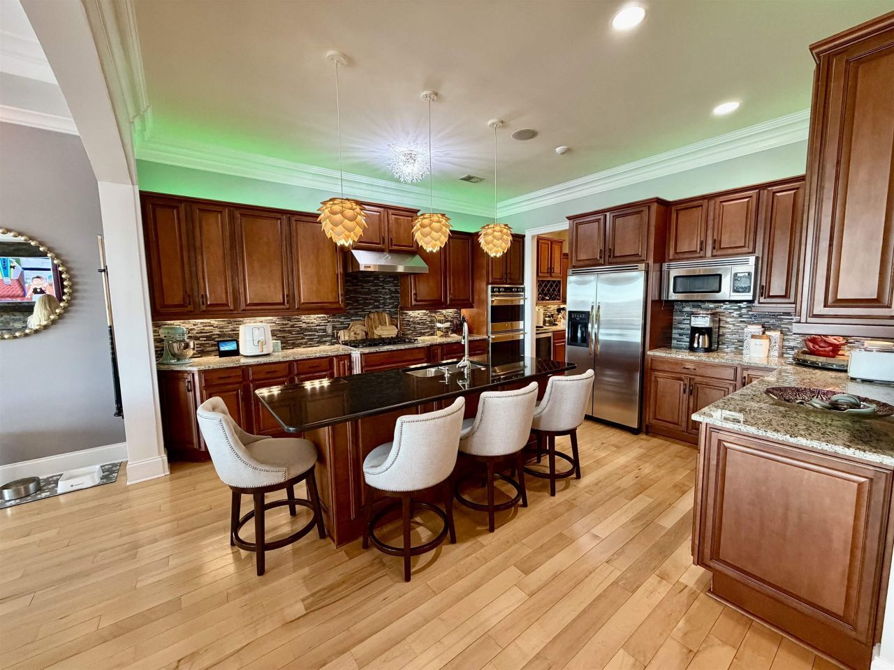 485 Saint Julian Ln. Photo 18