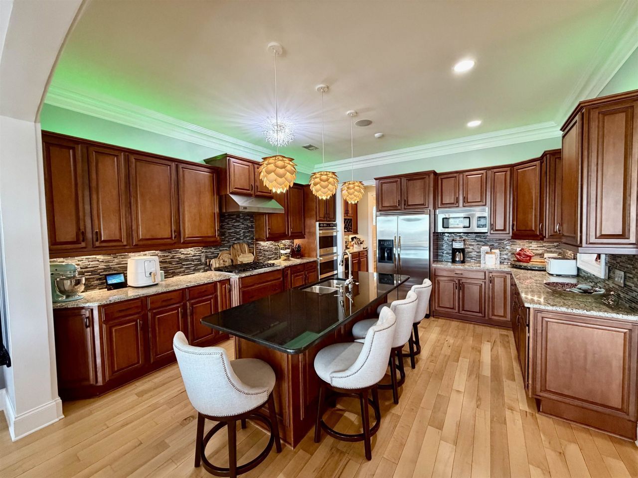 485 Saint Julian Ln. Photo 20