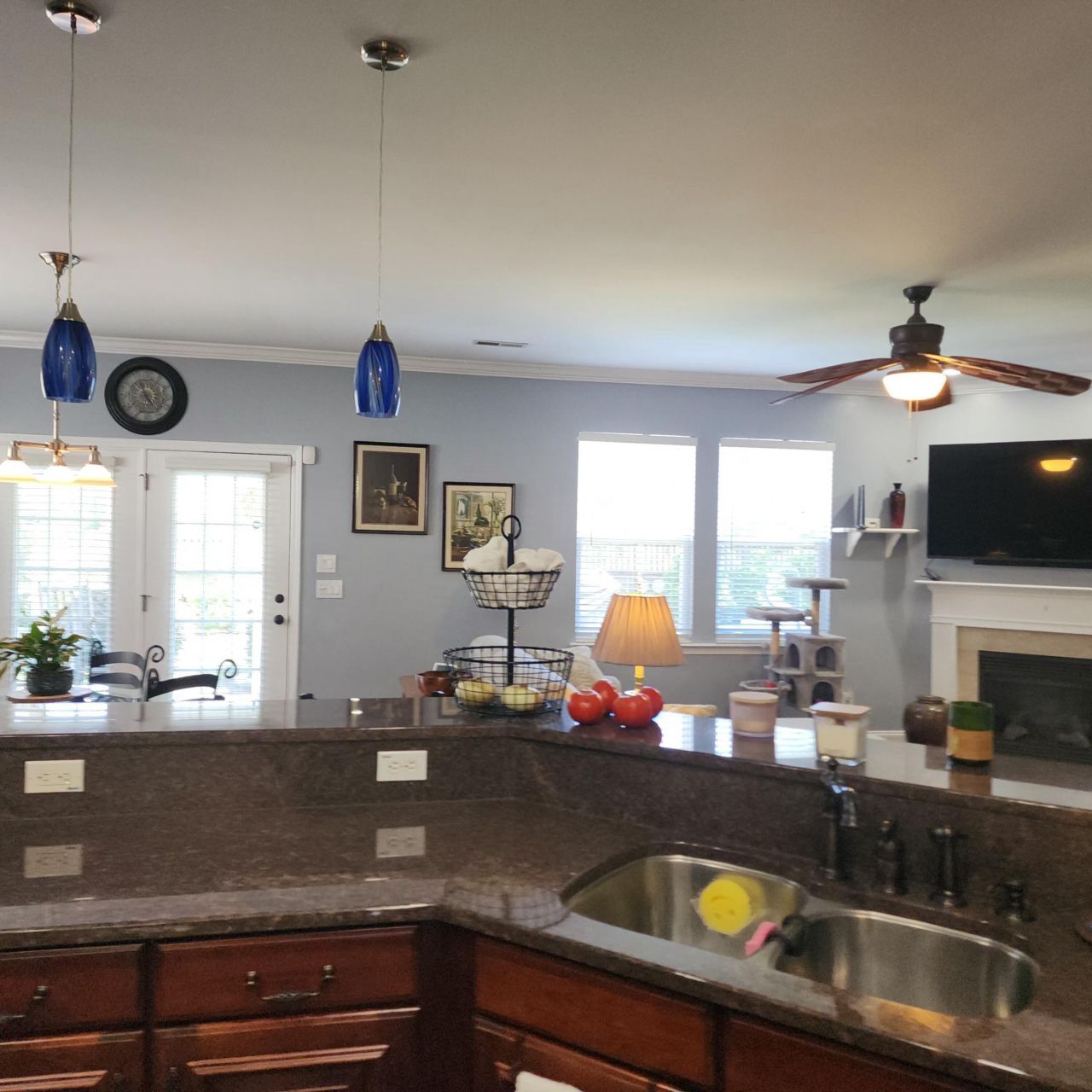 169 Woodbrook Way Photo 12