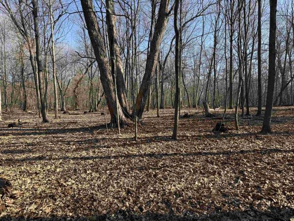 25 Acres Lerch Road, Arlington, WI 53911