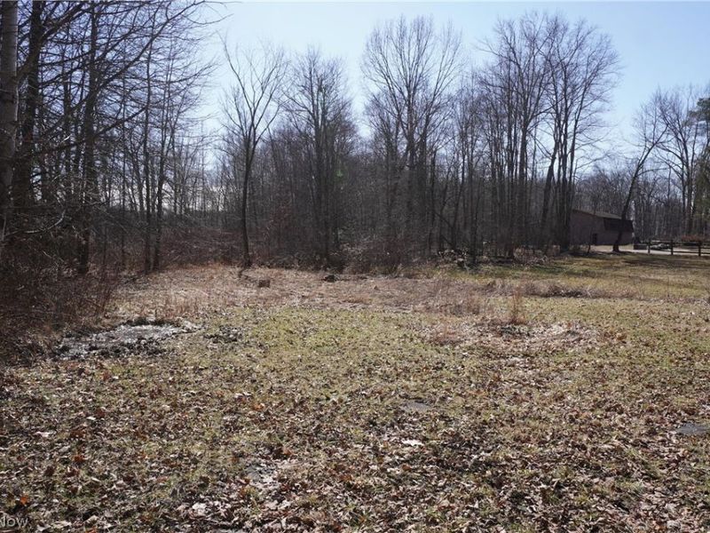 4149 Arrel Road , Youngstown, OH 44514 Photo 5