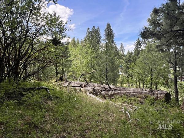 T75 LI Cabarton Road, Cascade, ID 83611