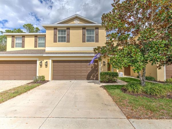 20223 INDIAN ROSEWOOD DRIVE , TAMPA, FL 33647