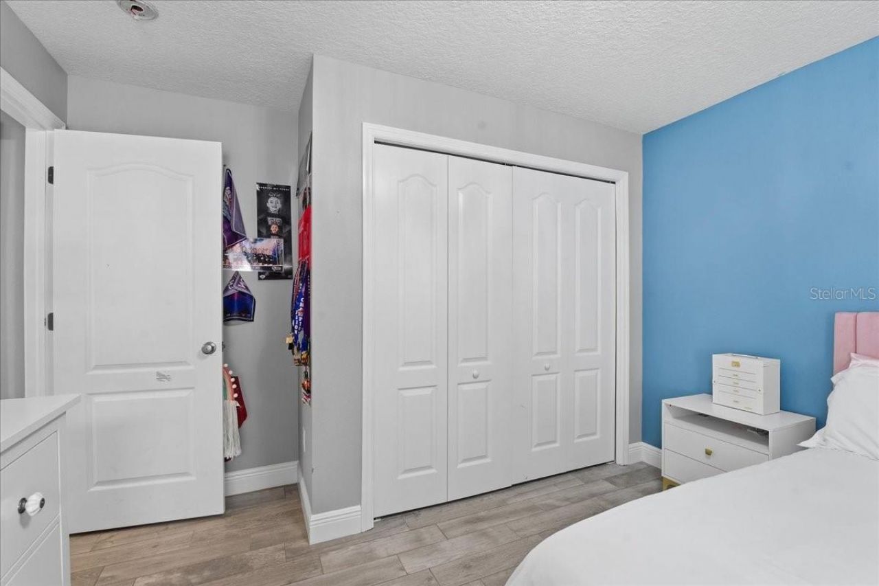 1007 Split Silk Street, Valrico, FL 33594 Photo