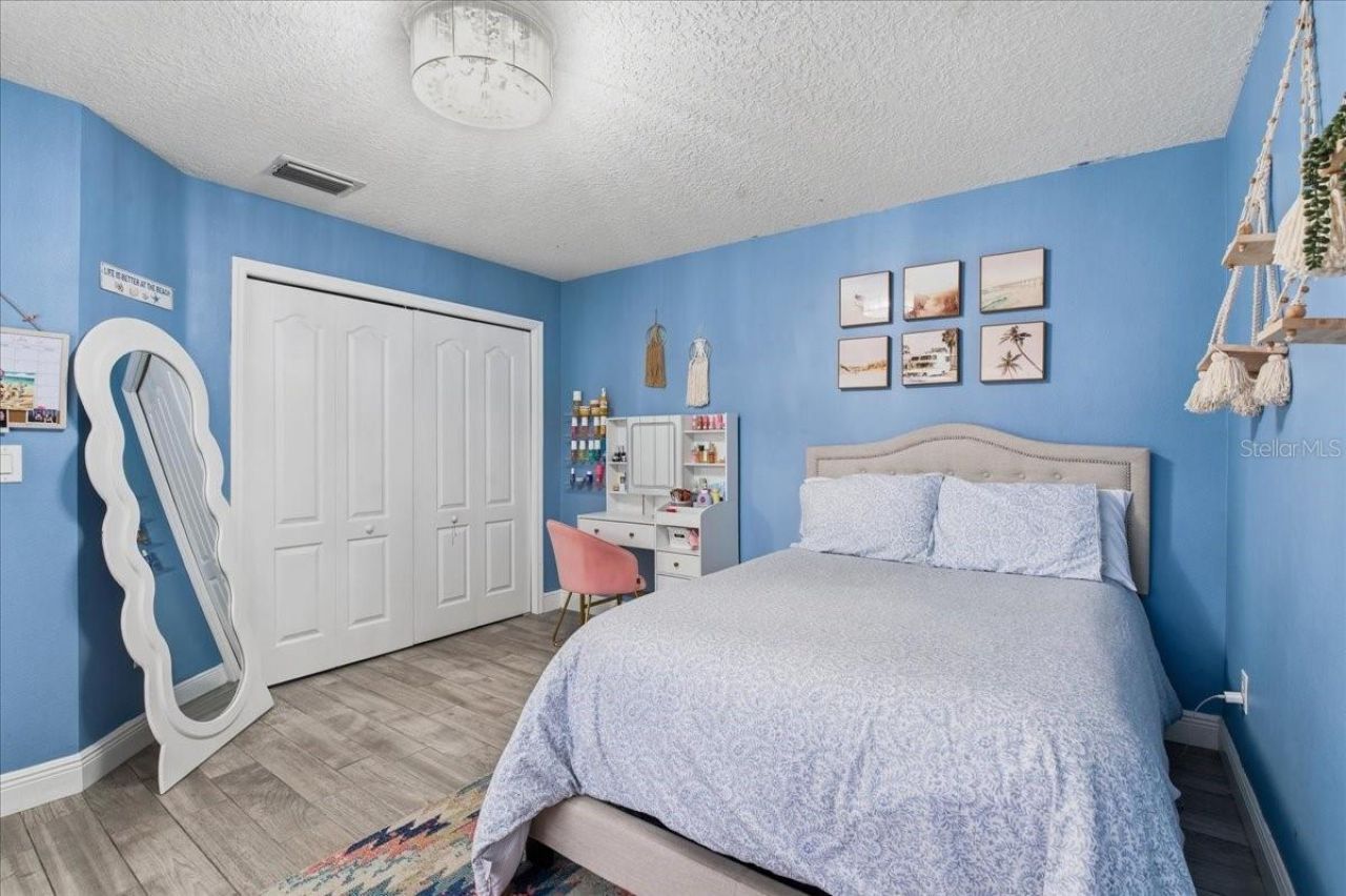 1007 Split Silk Street, Valrico, FL 33594 Photo