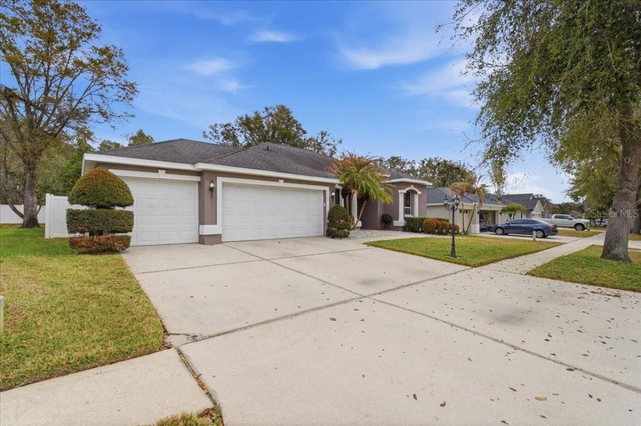 1007 Split Silk Street, Valrico, FL 33594 Photo