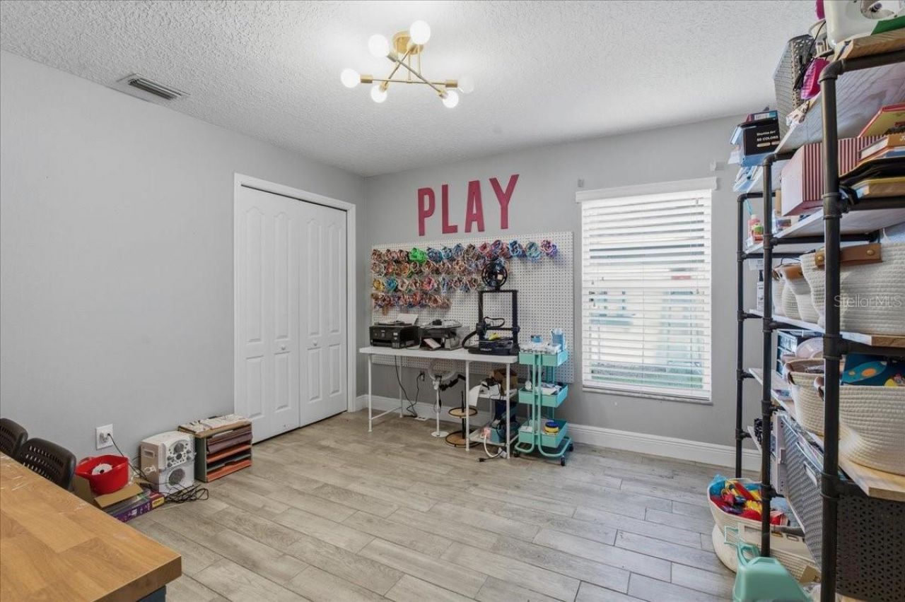 1007 Split Silk Street, Valrico, FL 33594 Photo