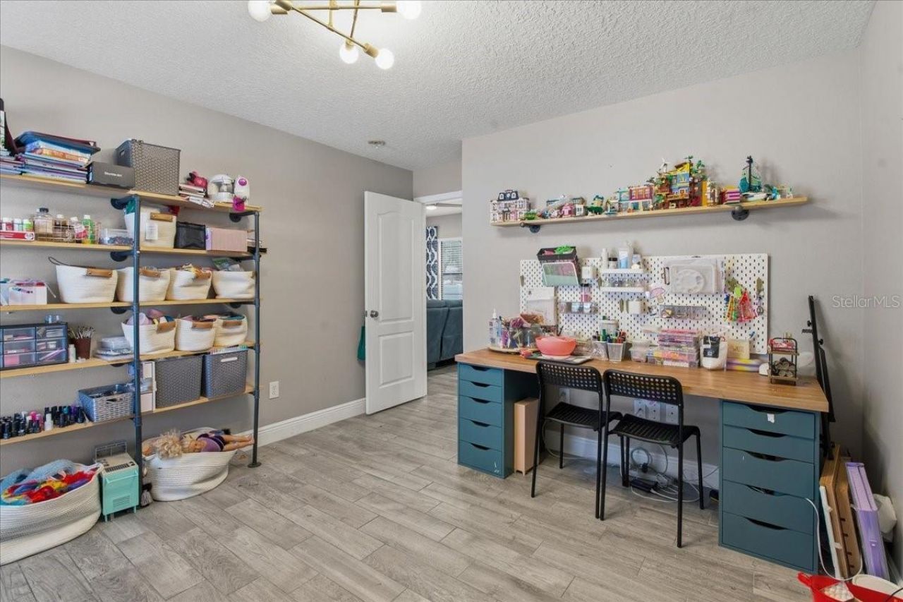 1007 Split Silk Street, Valrico, FL 33594 Photo