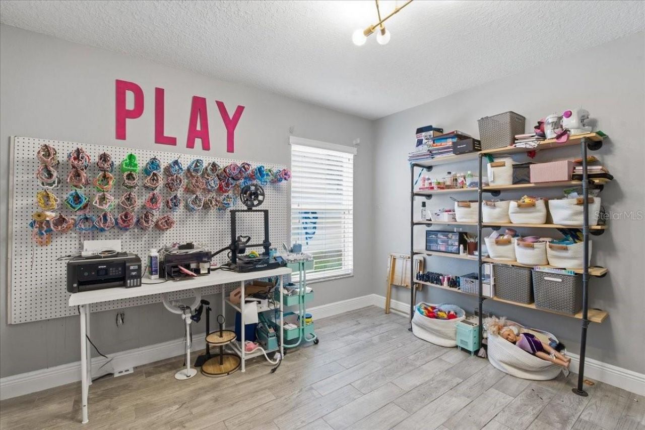 1007 Split Silk Street, Valrico, FL 33594 Photo