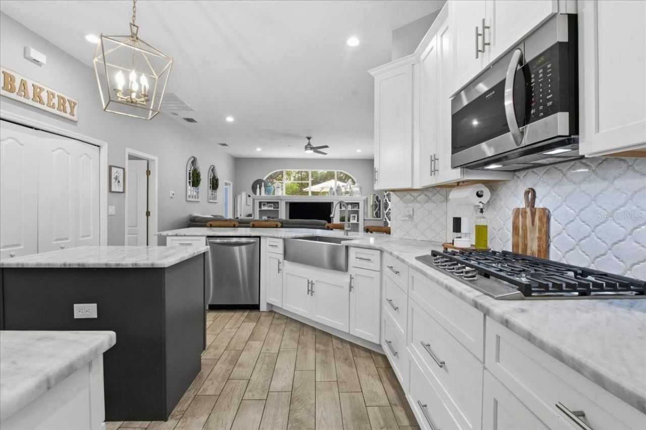 1007 Split Silk Street, Valrico, FL 33594 Photo