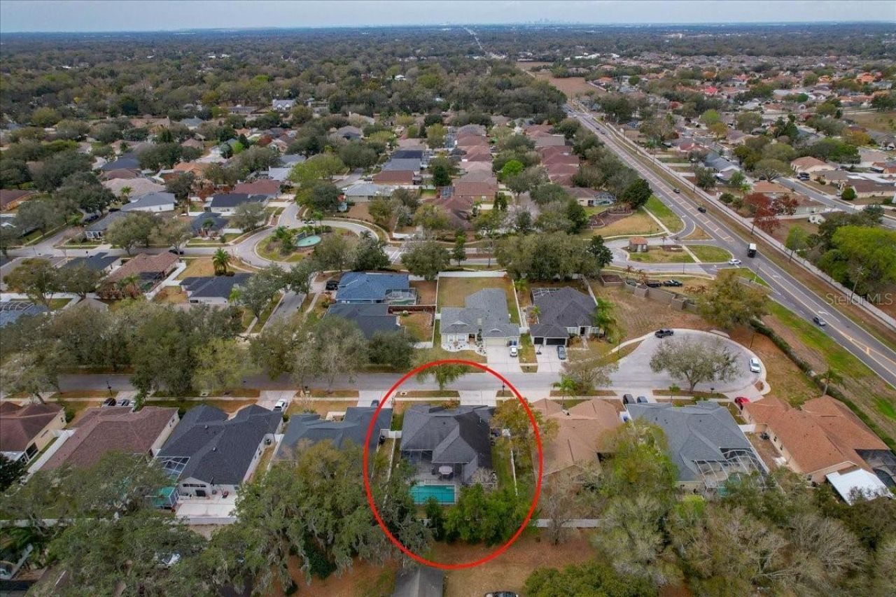 1007 Split Silk Street, Valrico, FL 33594 Photo