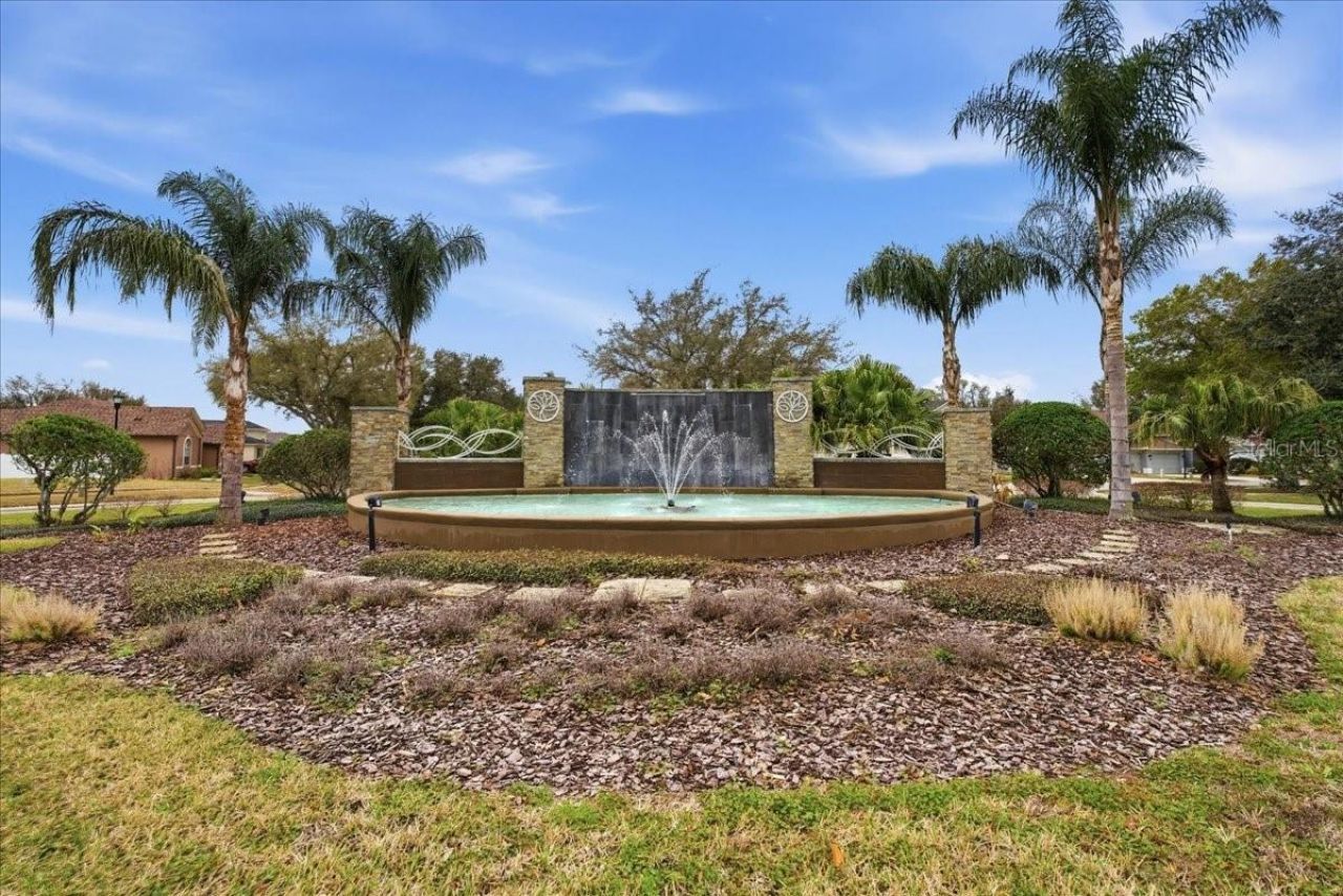 1007 Split Silk Street, Valrico, FL 33594 Photo